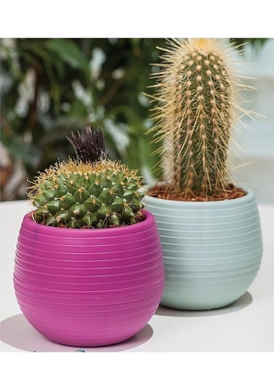 Bitki Ve Kaktüs Saksısı 0,13 Lt 1 No Royaleks-es01 12446350