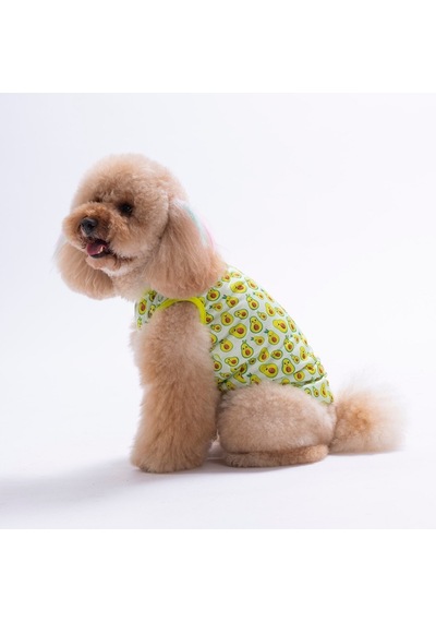 Avocado Tişört Kedi Köpek Tişörtü-kedi Köpek Kıyafeti