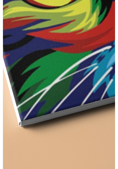 Webstyle Sayılarla Boyama Seti Kasnaklı Renkli Asil 40 X 50 Cm