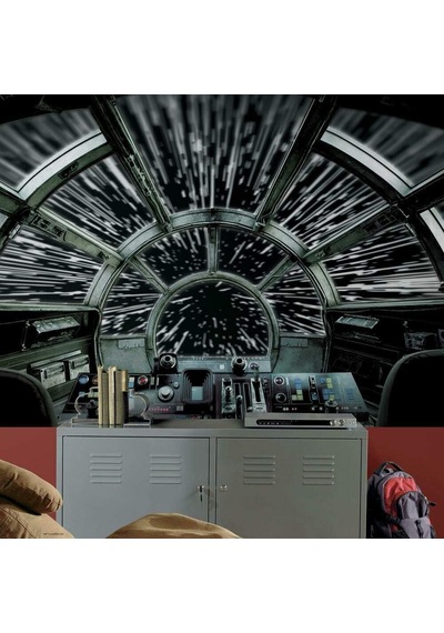 Millennium Falcon Soy Ve Yapıştır Duvar Resmi - 3 2 M X 1 8 M Çok Renkli