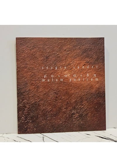 Sezgin Sander Şiir Ve Sanat Eseri Resimleri Mevcuttur İçerisinde