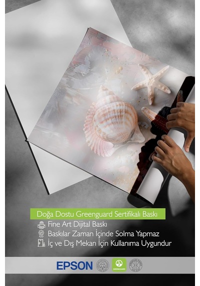 Zestia Ahşap Çerçeveli Tablo, Deniz Kabukları Ve Yıldız, Banyo Dekoru Poster No: 112014 30 X 40