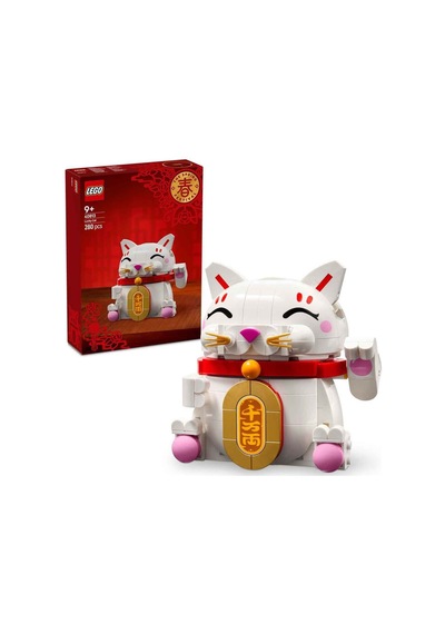Şanslı Kedi 40813