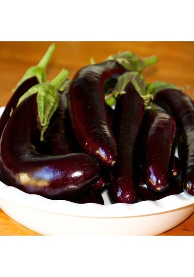 Halep Karası Patlıcan Tohumu 2 Gram 1 Paket