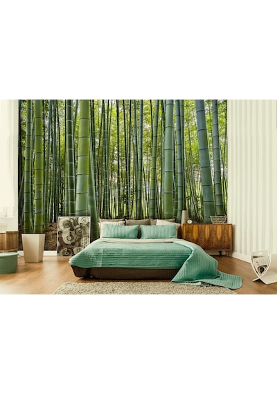 3D Boyutlu Bambu Ağaçları Duvar Kağıdı