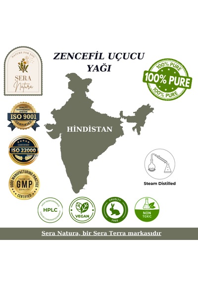 %100 Saf Zencefil Uçucu Yağı 5 Ml - Doğal Aromaterapi Ve Masaj Yağı Zingiber Officinale 5 ML