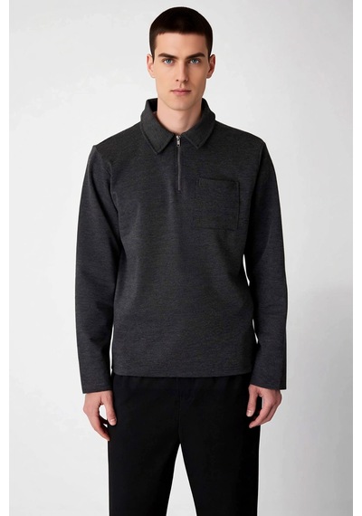 Benerly Erkek Polo Yaka Fermuarlı Standart Kol Sweatshirt Fonksiyonel Day Antrasit
