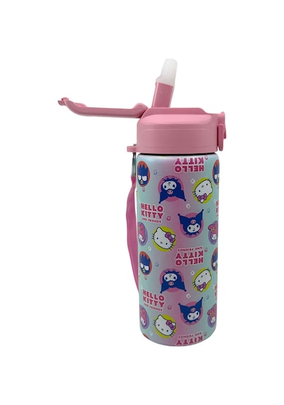 Hello Kitty And Friends 600 Ml Çelik Matara 3485 Çok Renkli