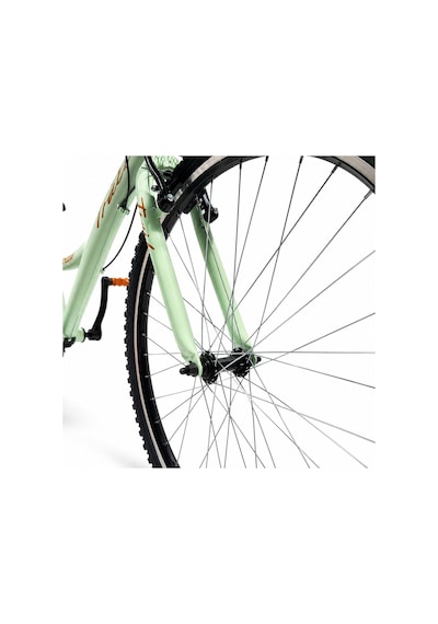 Kldoro KD-023 Spor 24" Jant 21 Vites Kadın Dağ Bisikleti