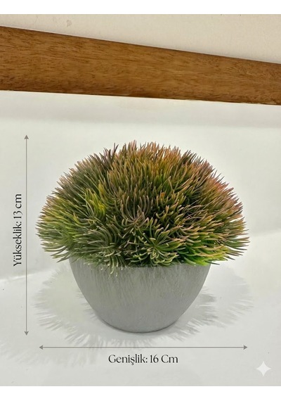 Yapay Scleranthus Minder Çiçeği Kızıl Yeşil Antrasit Saksılı Premium Dekor Çok Renkli