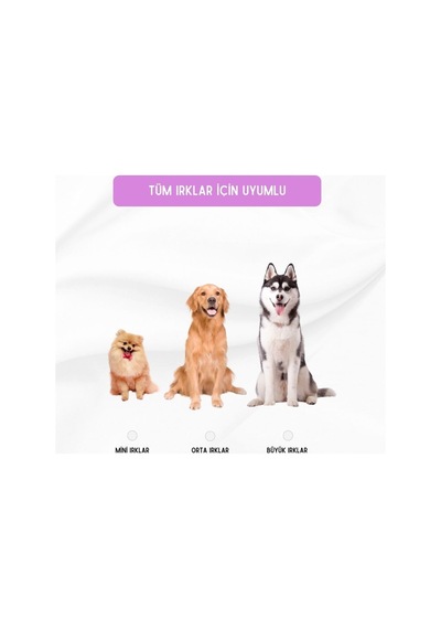4 Adet Köpek Topu Köpek Oyuncağı Top Köpek Eğitim Oyuncağı - Köpek Oyun Topu