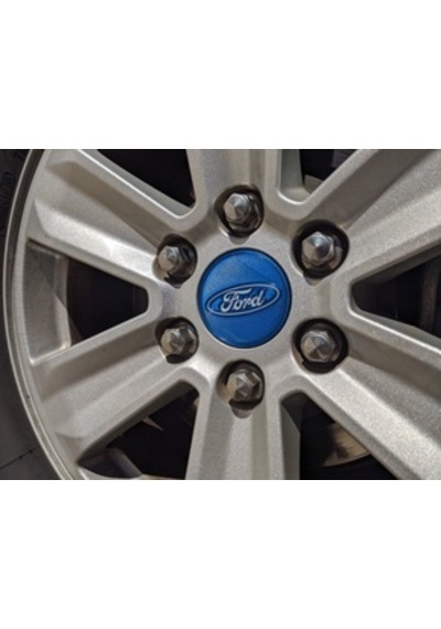 F150 - 2015 Jant Göbeği Kapağı Center Cap