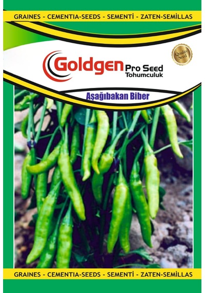 Goldgen Aşağıbakan Biber Tohumu 1 Paket