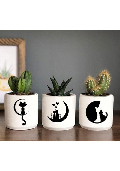 Ayda Ki Kedi Desenli Saksı Üçlü Set- Küçük Boy Sukulent Saksısı Çizim Kedicik