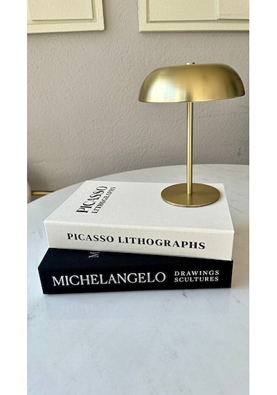 Kumaş Kaplı 2'li Dekoratif Kitap Kutu Michelangelo-picasso