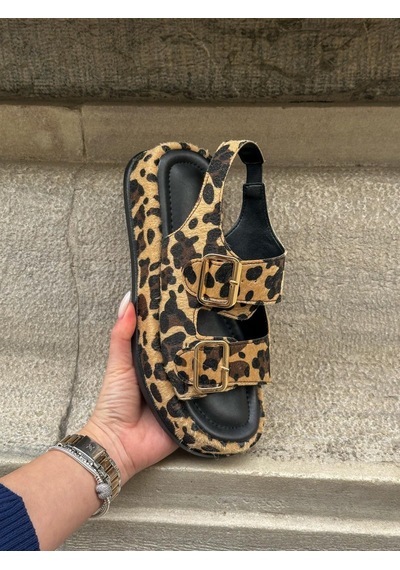 Erva'nın Butiği Leopar Jenny Gold Toka Detay Kadın Sandalet-5742