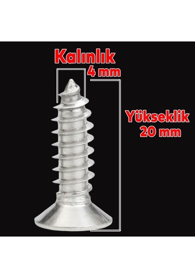 Badem10 Sunta Vidası 4x20 Paket 1000 Adet Sivri Uçlu Ahşap Tahta Ağaç Mobilya Ayak Kulp Vidası 0.35 CM