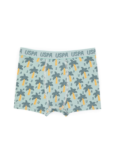 U.S. Polo Assn. Erkek Çocuk 3'lü Boxer Takım 50319388-VR048