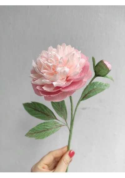 Roco Paper İtalyan Krapon Kağıdı Set Roses 180 Gr - 25x125 Cm 6