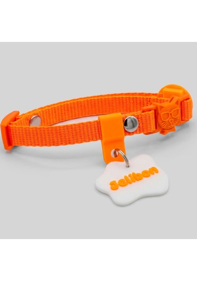 Charmlı, İsimlikli, Telefon Numarası Yazılı, Kedi Boyun Tasması Safety Click Turuncu