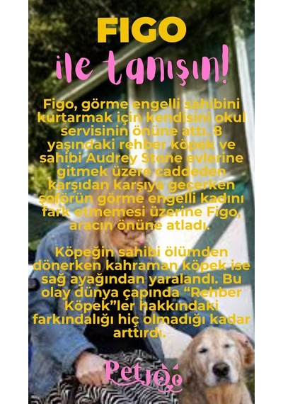 Petjoo 27.Figo Pembe-Sarı Qr'lı Köpek Künyesi