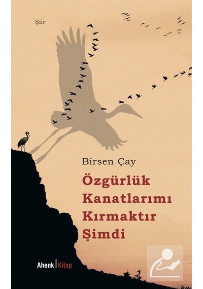 Özgürlük Kanatlarımı Kırmaktır Şimdi / Birsen Çay