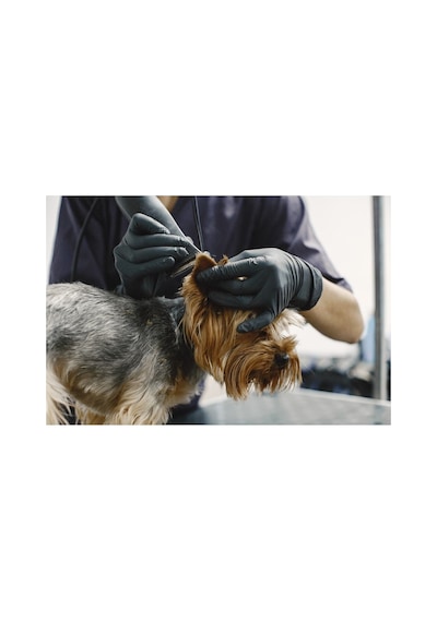 Kedi Köpek Şarjlı Tıraş Makinesi Y5 Profesyonel Pet Tıraş Makinesi
