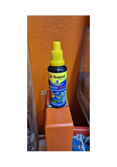 Bacto Active - Bakteri Kültürü 30ml