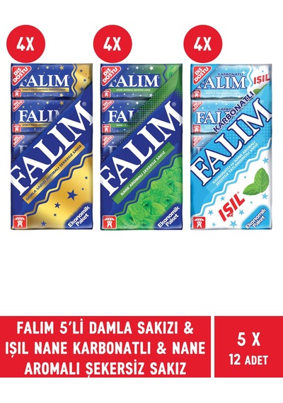 Falım Damla Sakızı & Işıl Nane Karbonatlı & Naneli Şekersiz Sakız 12 x 5'li