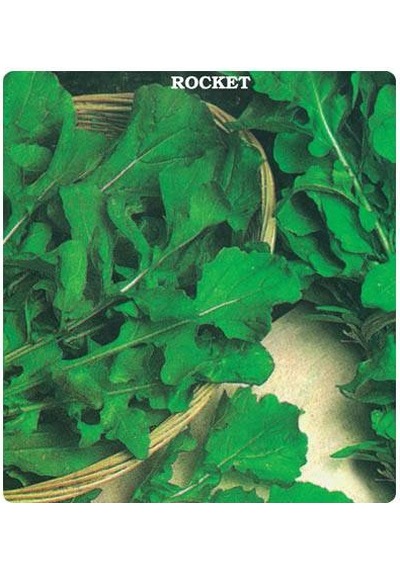 Roka Tohumu Geniş Yaprak 500 GRam N112113