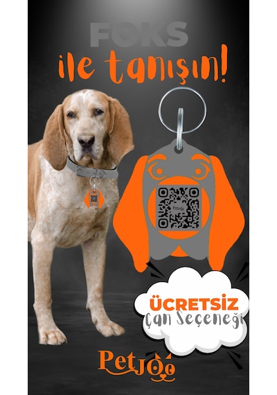Petjoo 29.Foks Turuncu-Gri Qr'lı Köpek Künyesi