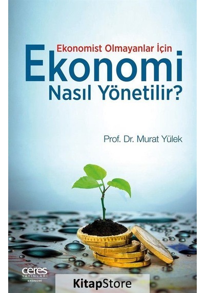 Ekonomi Nasıl Yönetilir? - Murat Yülek - Ceres Yayınları