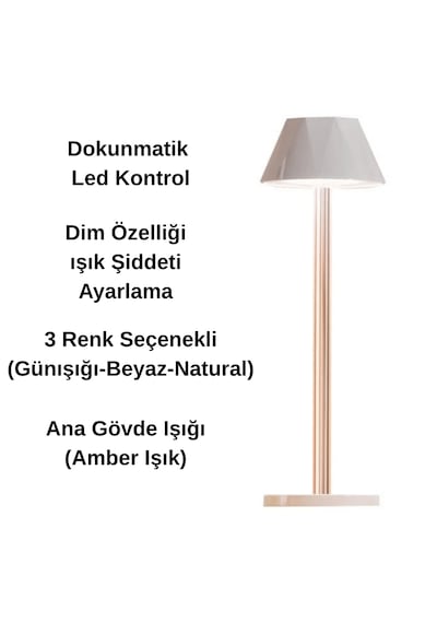 Forlife Dokunmatik Şarjlı Dekoratif Mellea Led Masa Lambası