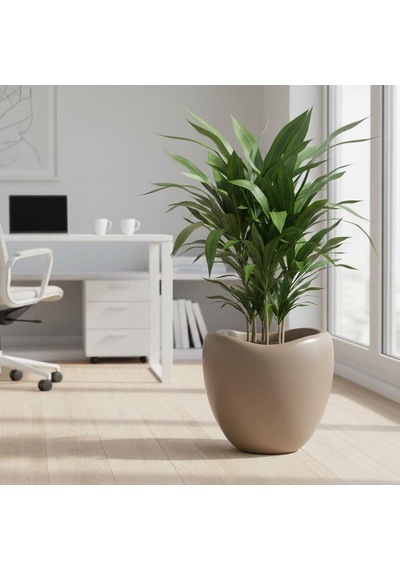 Omnipazar So-lle Lale Saksı Dekoratif Modern Plastik İç Kovalı 52 Litre Mocha