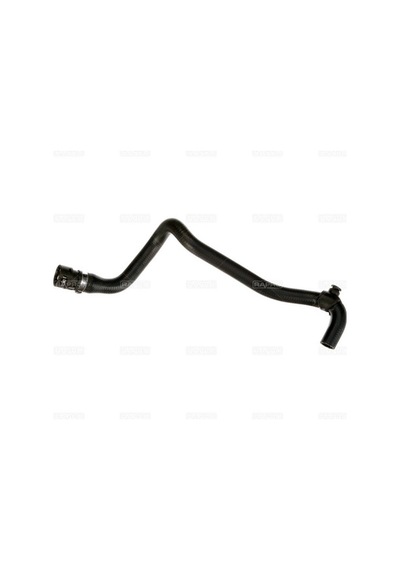Rapro 12168 Kalorifer Hortumu Gırıs Clio Iı Symbol 1.4 K7j 7700434300 -