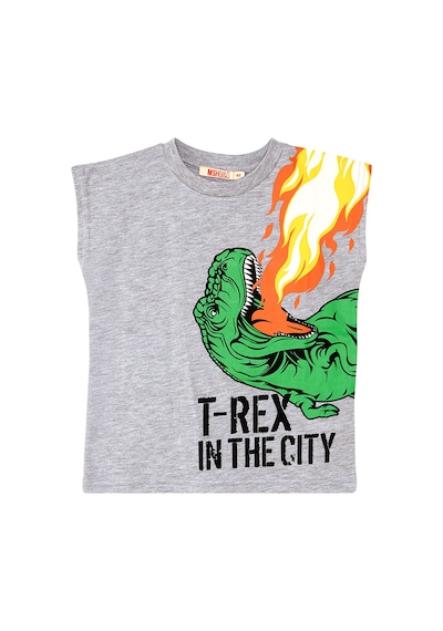 T-Rex Alev Erkek Çocuk Kolsuz Yazlık T-Shirt Şort Takım
