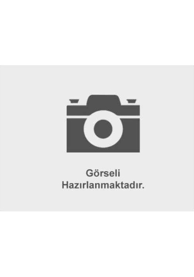 Sanzıman Rulmanı 106 / 205 / 206 / 306 / 307 / C2 / C3 / C4 / Par