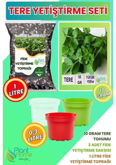Tere Yetiştirme Seti Tere Tohumu + Cocopeat & Perlit Katkılı Fide Toprağı + 3 Lü Drenajlı Saksı