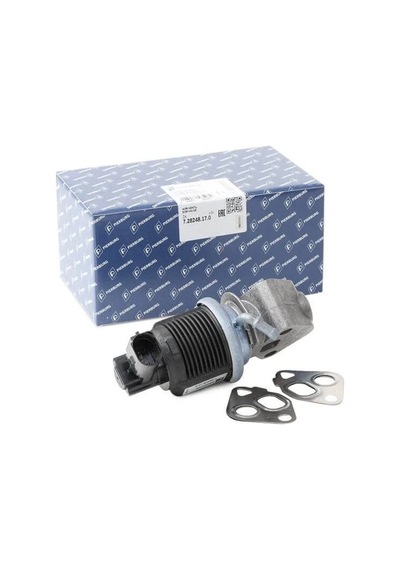 Volkswagen Bora Egr Valfi