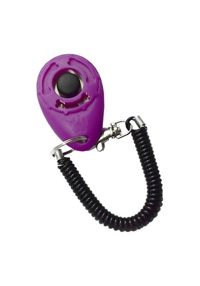 Nunbell Köpek Eğitim Aparatı Askılı Hızlı Clicker 6 Cm