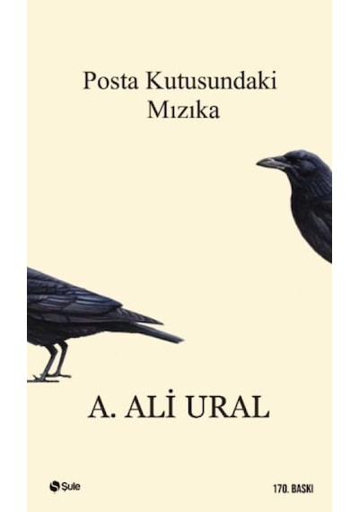 Posta Kutusundaki Mızıka - Ybve-664439
