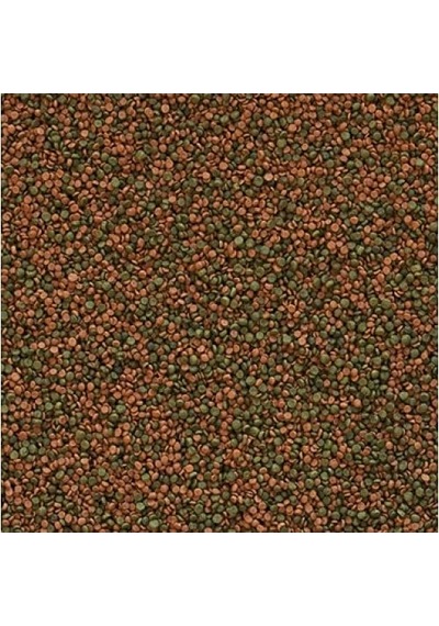 Tropical Cichlid Gran 500 Gr Kovadan Bölme Balık Yemi