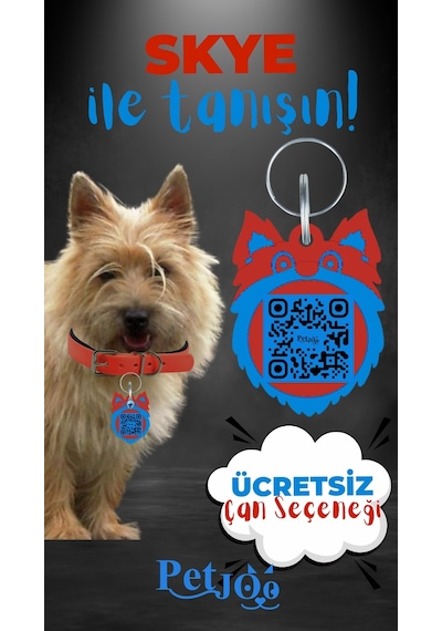 Petjoo 6.Skye Mavi-Kırmızı Qr'lı Köpek Künyesi