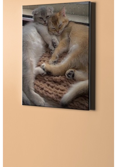 Webstyle Sayılarla Boyama Seti Kasnaklı Iki Yavru Kedi 40 X 50 Cm