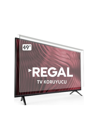 Bestekran Regal Uyumlu 49R4020F TV Ekran Koruyucu - 49" İnç Tv