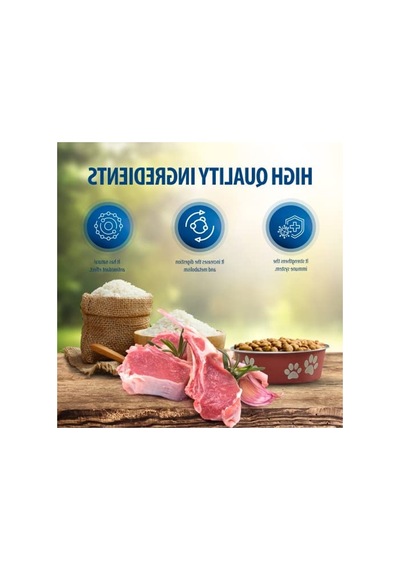 3 Kg Kuru Yavru Köpek Maması, L Ve M Boyutları İçin Uygun 100 G