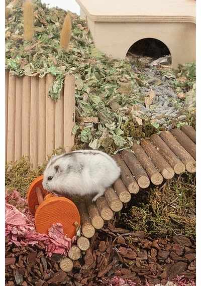 Hamster Fare Sıçan Kuşlar Için Eğlenceli Ahşap Merdiven Köprü