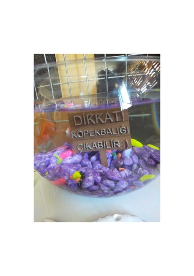 Akvaryum Tabelası - Dikkat Köpekbalığı-suya Girmek Yasaktır