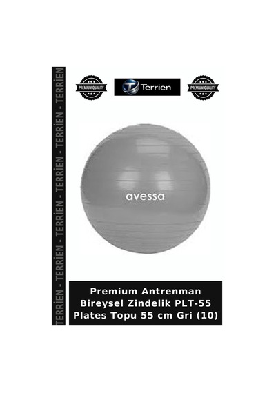 Premium Antrenman Bireysel Zindelik Plt-55 Plates Topu 55 Cm Gri 10