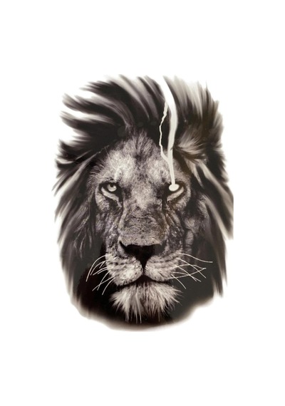 Karat Tattoo Aslan Desenli Su Geçirmez Geçici Dövme Kol Omuz Bacak Uyumlu Siyah Büyük Tattoo
